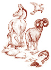Illustration from Psalms 2 (Celtic Cross Press)