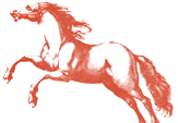 Illustration from Stroud House card (Evergreen Press)