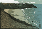 Linoprint by Ian Phillips (St Davids Studio Gallery)